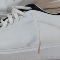 کفش چرم|کیف، کفش، کمربند|رشت, گیل|دیوار