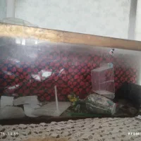فروش شیشه اکواریوم بزرگ