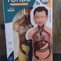 مولاژ اعضای بدن