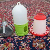 جاغذایی وجاآبی مرغ و خروس و جوجه سالم وتمیز.