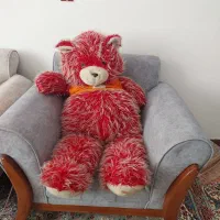 خرس بزرگ بغلی فقط ۵۰۰ تومن