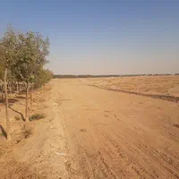 فروش زمین ۲۵۵ متری منازل بانک استان شاهین شهر|فروش زمین و ملک کلنگی|اصفهان, دهنو|دیوار