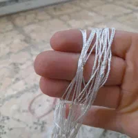 سالی یاتور ماهی گیری|ماهیگیری|چالوس, |دیوار