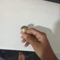 انگشترنگین|کلکسیون اشیاء عتیقه|فردوس (خراسان), |دیوار