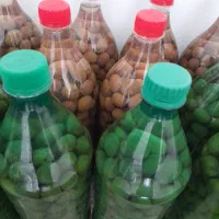 زیتون رسیده و خوشمزه بدون مواد شیمیایی