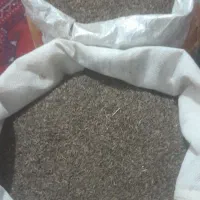 زیره سیاه کوهی خش عطر