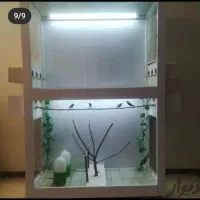 قفس پرنده وکبوتر