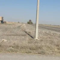 زمین کشاورزی