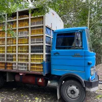 خاور فروشی|خودرو سنگین|رشت, استقامت ۱|دیوار