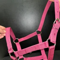 کله گیر پا آخوری اسب و گاو|اسب و تجهیزات اسبسواری|لاهیجان, کوی آزادگان|دیوار