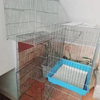 قفس|لوازم جانبی حیوانات|قروه, |دیوار