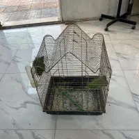 قفس پرنده|لوازم جانبی حیوانات|گرمسار, |دیوار
