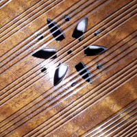 سنتور|سازهای سنتی|بندر انزلی, آذربایجان|دیوار