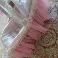 کریر|کالسکه و لوازم جانبی|شهرکرد, |دیوار