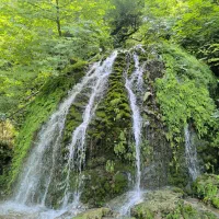 گلستان