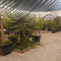 استخدام نیرو کافه رستوران و تالار|استخدام خدمات فروشگاه و رستوران|تهران, میدان میوه و تره‌بار مرکزی|دیوار
