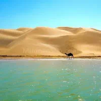 تور گردشگری چابهار|تور و چارتر|مشهد, هنرستان|دیوار