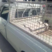 وانت بار
