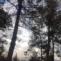 پارتنر ورزشی