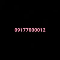 0917-111-0024|سیم‌کارت|شیراز, فرهنگ شهر|دیوار