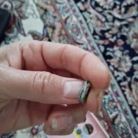 گوشواره نقره