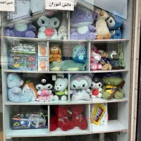 قفسه|کتابخانه، شلف، قفسه‌های دیواری|رشت, پل تالشان|دیوار