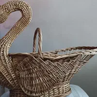 میوه خوری قو حصیری