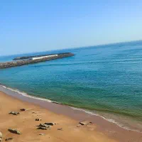 جویای کارهستم