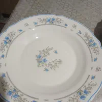 ظروف آرکوپال گل آبی