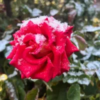 آموزش زبان عربی لهجه ی عراقی