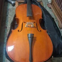 ویلن سل تی اف استیودنت