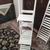 استند گل|گل و گیاه طبیعی|تهران, پرستار|دیوار