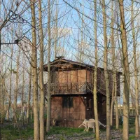 ویلاهای-چوبی-با-شرایط-ویژه-برای-شما