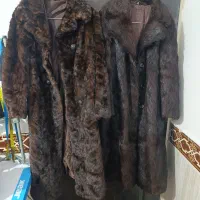 پوست طبیعی حیوان