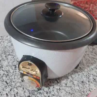پلو پزبرقی