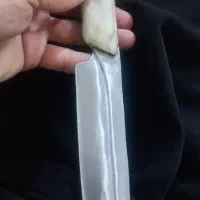 شکاری دسته شاخ