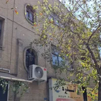 موقعیت اداری 100 متر رودکی