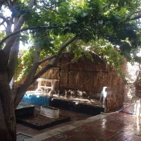 سالن مطالعه آفرینش