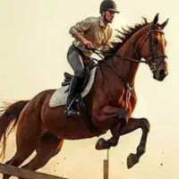 اسب دو سر خارجی پرشی