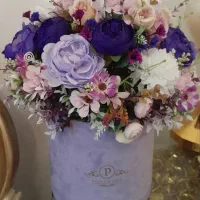گل نو