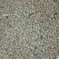 عدس|لوازم جانبی حیوانات|کبودرآهنگ, |دیوار