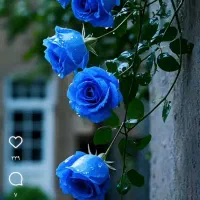 وام فرزند اوری