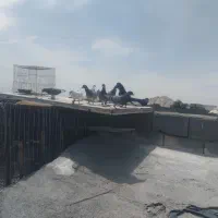 کبوتر