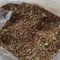 بذر یونجه|خدمات باغبانی و درختکاری|نهاوند, |دیوار