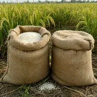 فروش برنج محلی گیلانی درجه یک