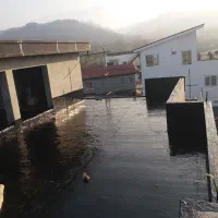 ایزوگام دلیجان قیرگونی