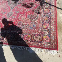 فرش دستباف|فرش|بیرجند, |دیوار