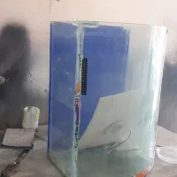 اکواریم