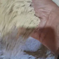 خوراک دام سبوس برنج