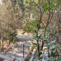 56متر طبقه اول تخلیه بازسازی|اجارهٔ آپارتمان|محمدشهر, همایون ویلا|دیوار